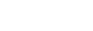BusCar Flotas